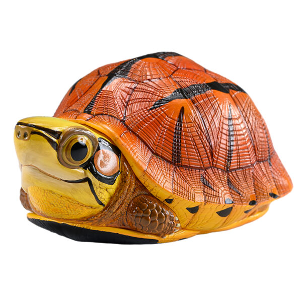 AHB Series 19 - Golden Coin Turtle – Cuora trifasciata | Turtle