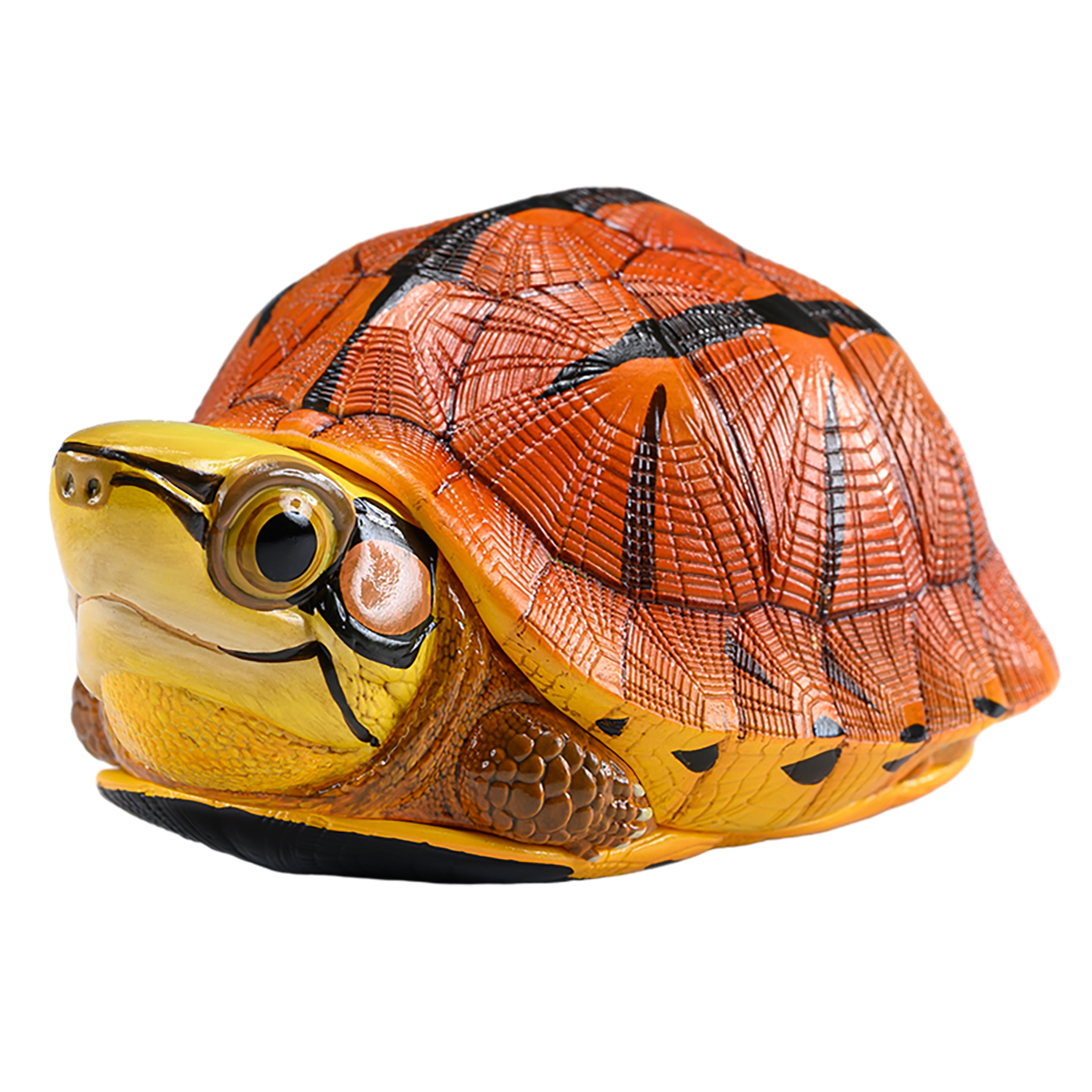 AHB Series 19 - Golden Coin Turtle – Cuora trifasciata | Turtle