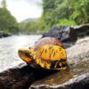 AHB Series 19 - Indochinese Box Turtle – Cuora galbinifrons | Turtle