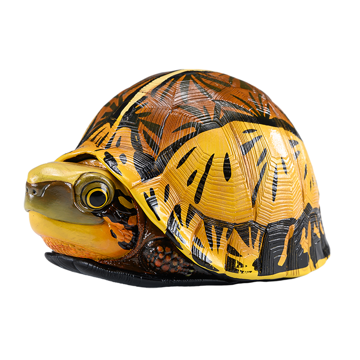 AHB Series 19 - Indochinese Box Turtle – Cuora galbinifrons | Turtle