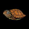 AHB Series 19 - Vietnamese Leaf Turtle – Geoemyda spengleri | Turtle