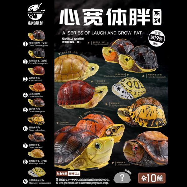 AHB-TURTLE-V19-Poster-5abfe8e6 AHB Series 19 - McCord’s Box Turtle – Cuora mccordi | Turtle