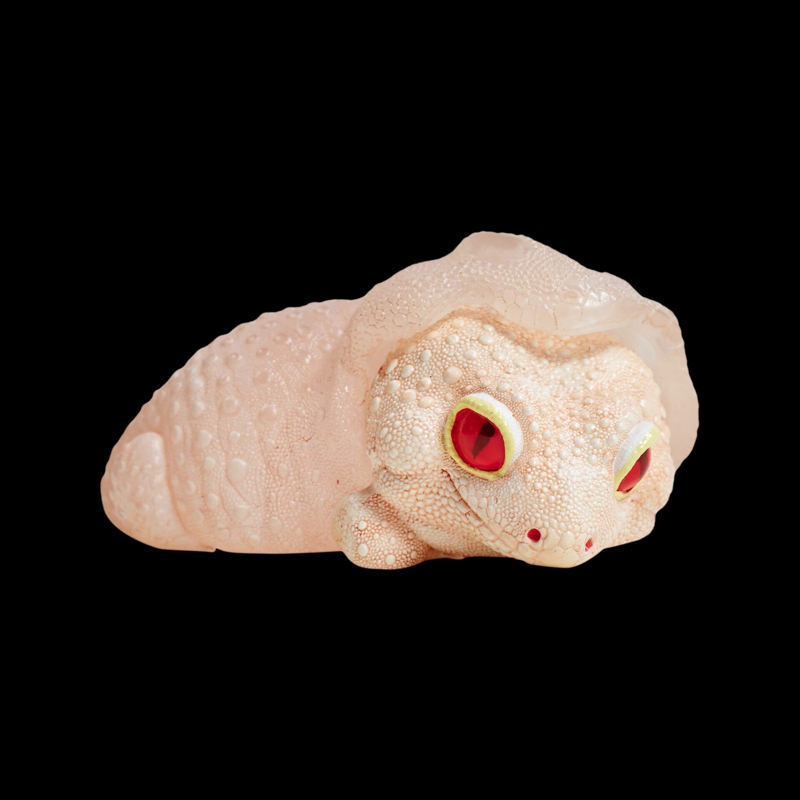 AHB Series 2 - Leopard Gecko (Shedding) – Eublepharis macularius | Gecko