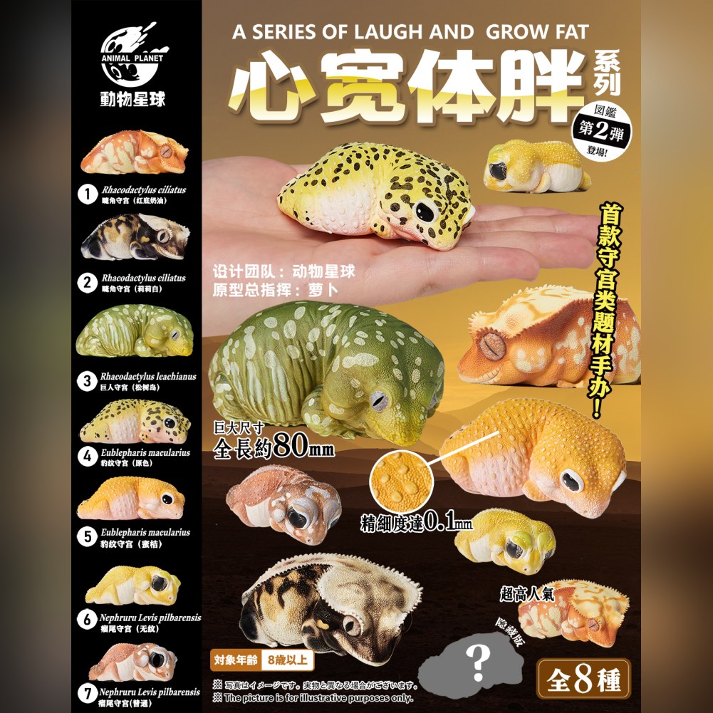 AHB Series 2 - Leopard Gecko – Eublepharis macularius | Gecko