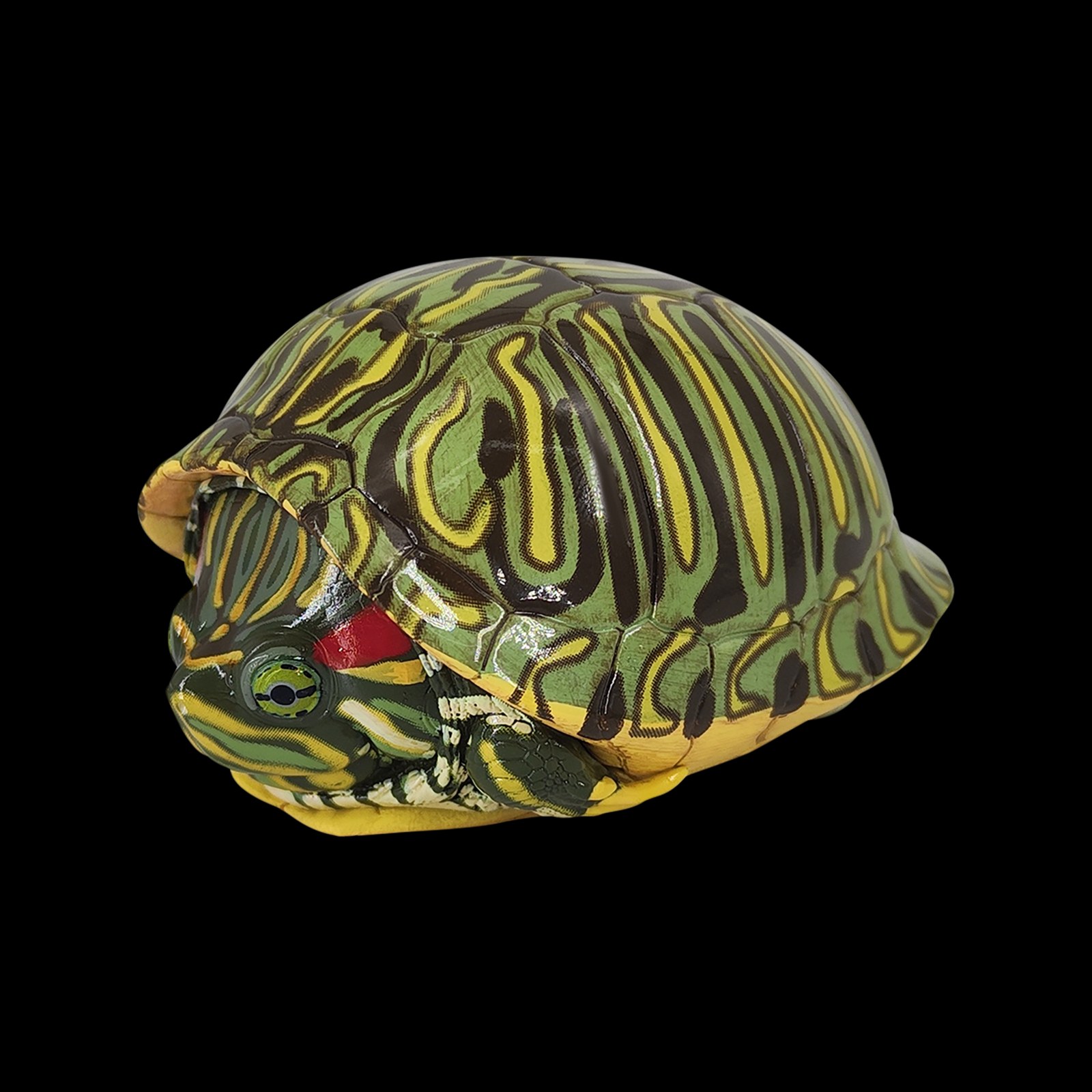 AHB Series 3 - Red-eared Slider – Trachemys scripta elegans | Turtle