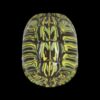 AHB Series 3 - Red-eared Slider – Trachemys scripta elegans | Turtle