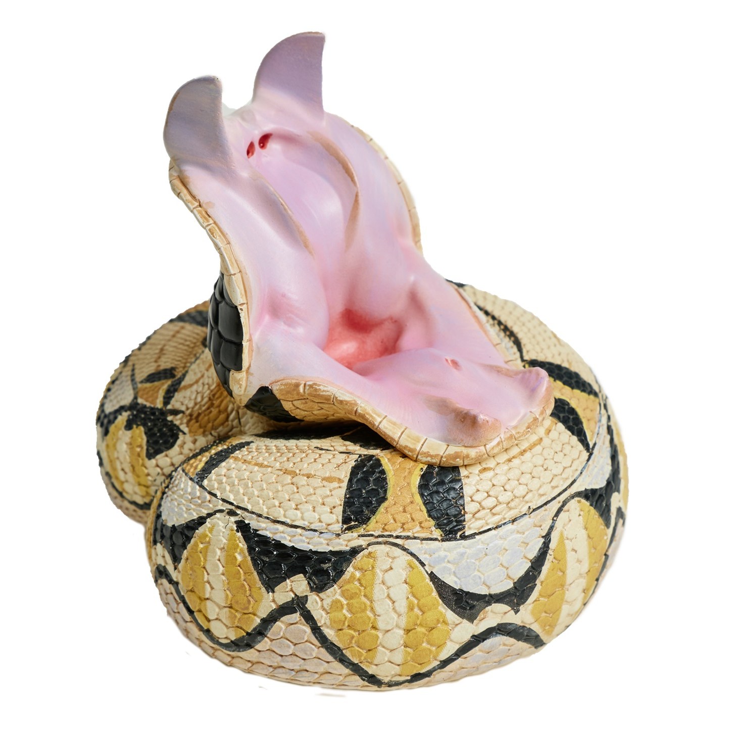 AHB Series 5 - West African Gaboon Viper – Bitis rhinoceros | Snake