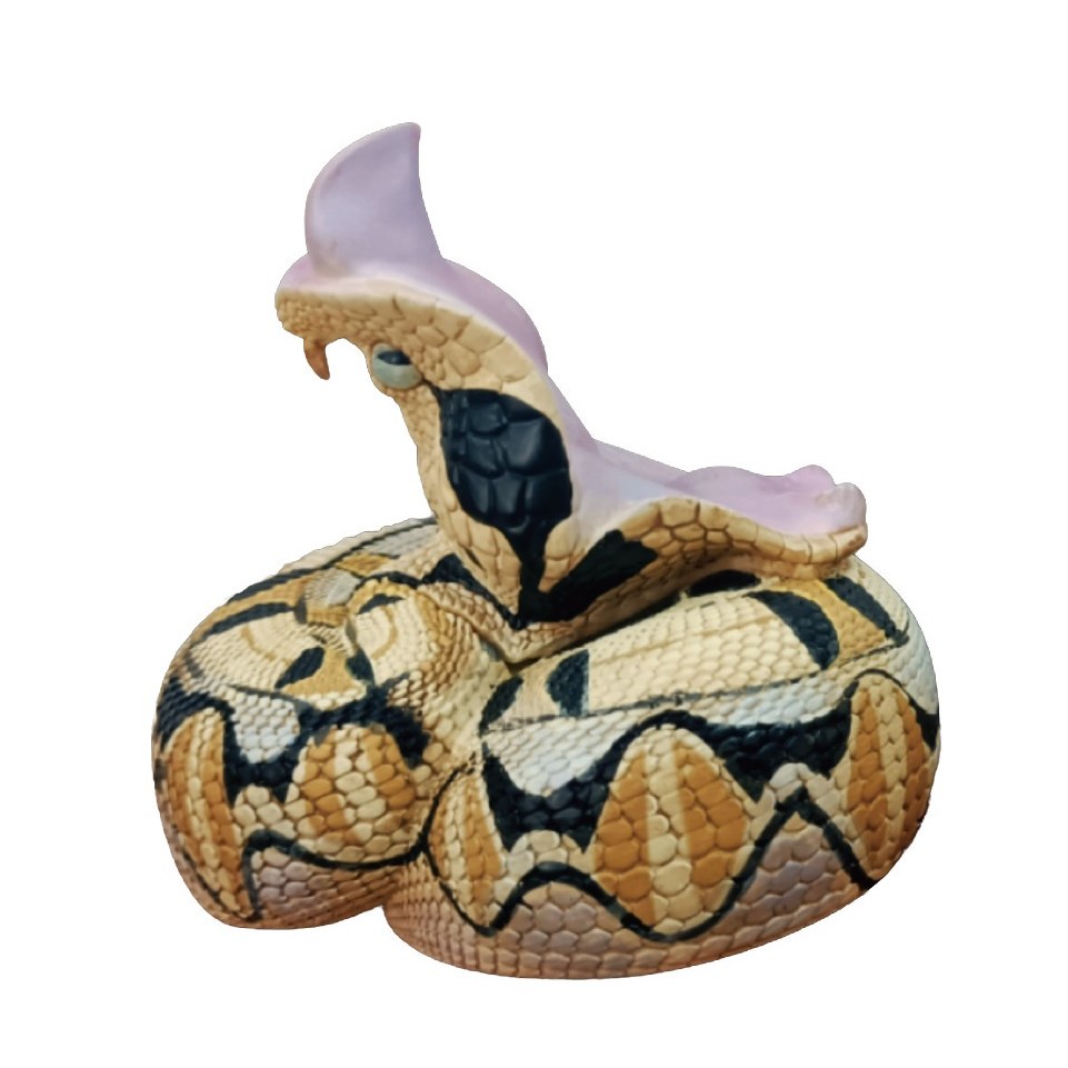 AHB-V5-Hidden_03-7f34a3dd AHB Series 5 - West African Gaboon Viper – Bitis rhinoceros | Snake