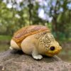 AHB-V8-01_08-d089dd73 AHB Series 8 - Narrow-Bridged Musk Turtle – Claudius angustatus | Turtle