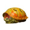 AHB-V8-07_01-cf55efbc AHB Series 8 - Slider – Trachemys | Turtle