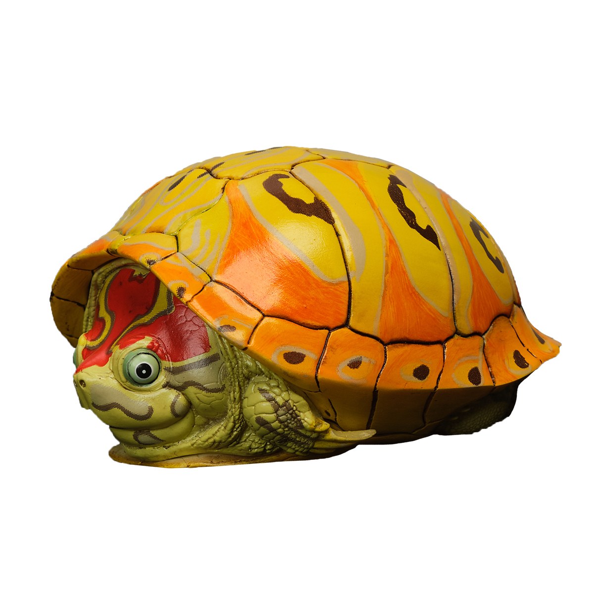 AHB-V8-07_01-cf55efbc AHB Series 8 - Slider – Trachemys | Turtle