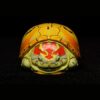 AHB-V8-07_03-15ce2947 AHB Series 8 - Slider – Trachemys | Turtle