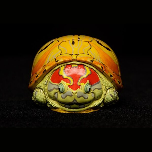 AHB Series 8 - Slider – Trachemys | Turtle