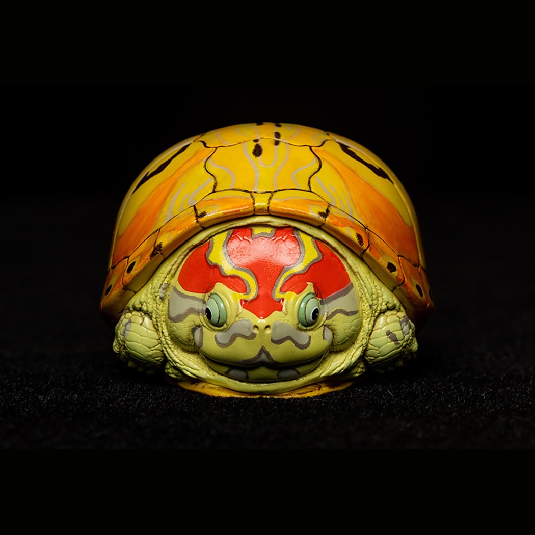 AHB-V8-07_03-15ce2947 AHB Series 8 - Slider – Trachemys | Turtle