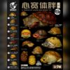 AHB Series 8 - Matamata Turtle – Chelus fimbriata | Turtle