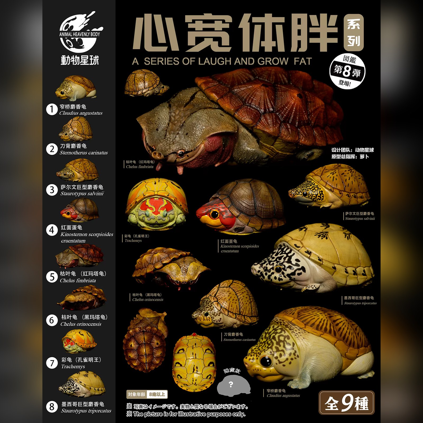 AHB Series 8 - Matamata Turtle – Chelus fimbriata | Turtle