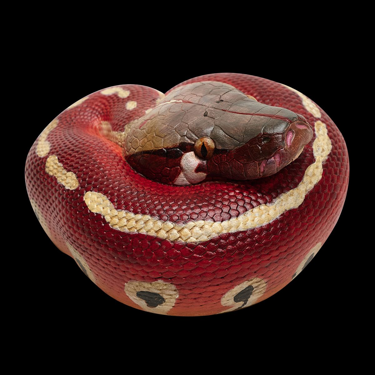 AHB Series 9 - Blood Python – Python brongersmai | Snake
