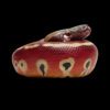 AHB Series 9 - Blood Python – Python brongersmai | Snake