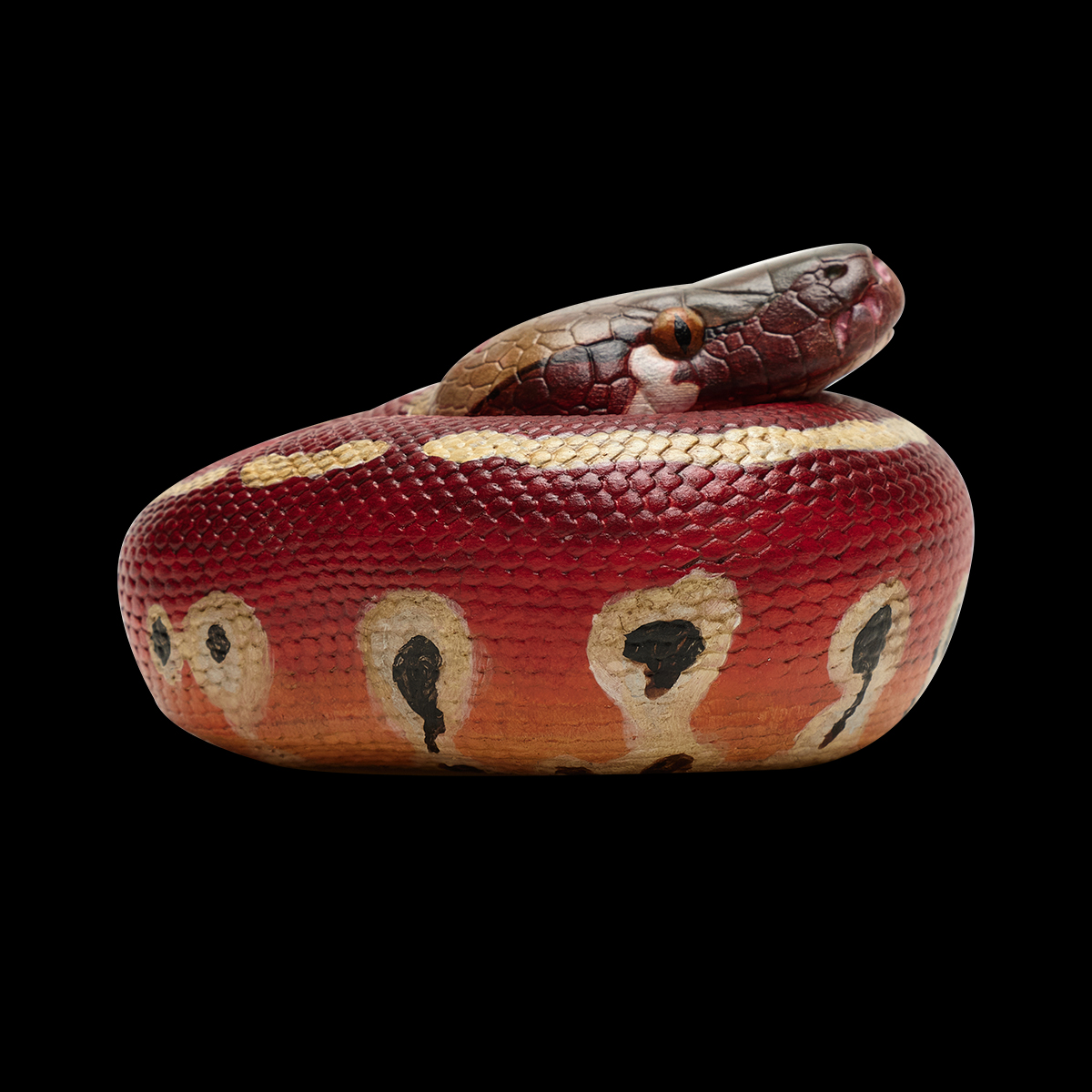 AHB Series 9 - Blood Python – Python brongersmai | Snake