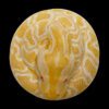 AHB Series 9 - Albino Burmese Python – Python molurus bivittatus | Snake