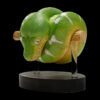 AHB-V9-08_01 AHB Series 9 - Emerald Tree Boa – Corallus caninus | Snake