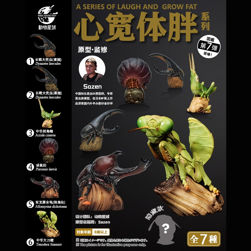 AHB Series 7 - Chinese Mantis – Tenodera sinensis | Insect