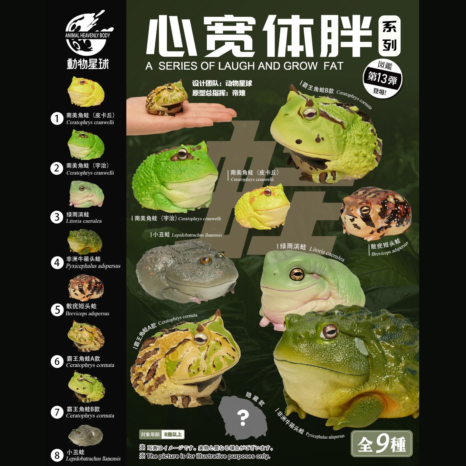 AHB Series 13 - White&rsquo;s Tree Frog – Litoria caerulea | Frog