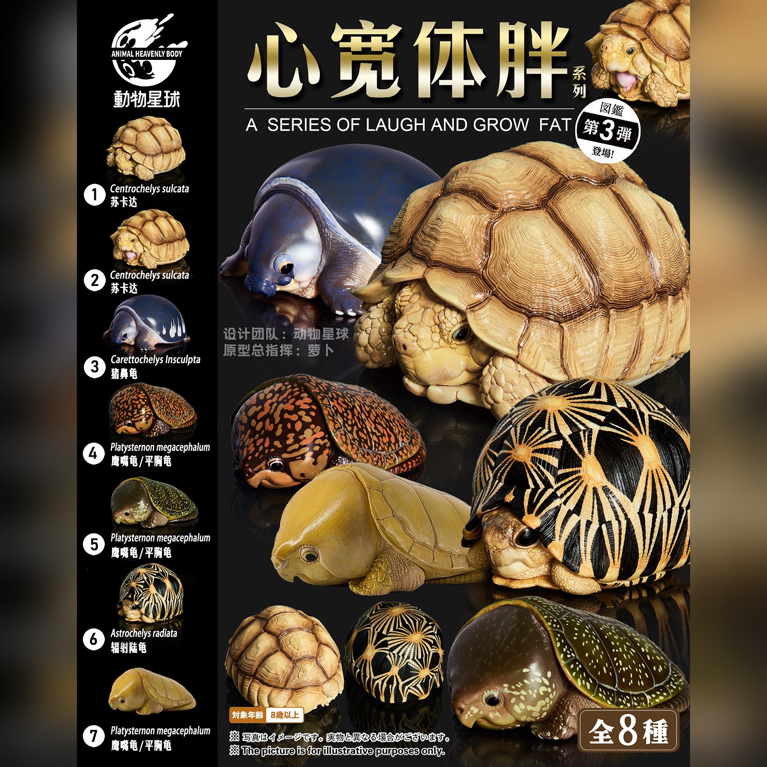 AHB Series 3 - African Spurred Tortoise (Male) – Centrochelys sulcata | Turtle