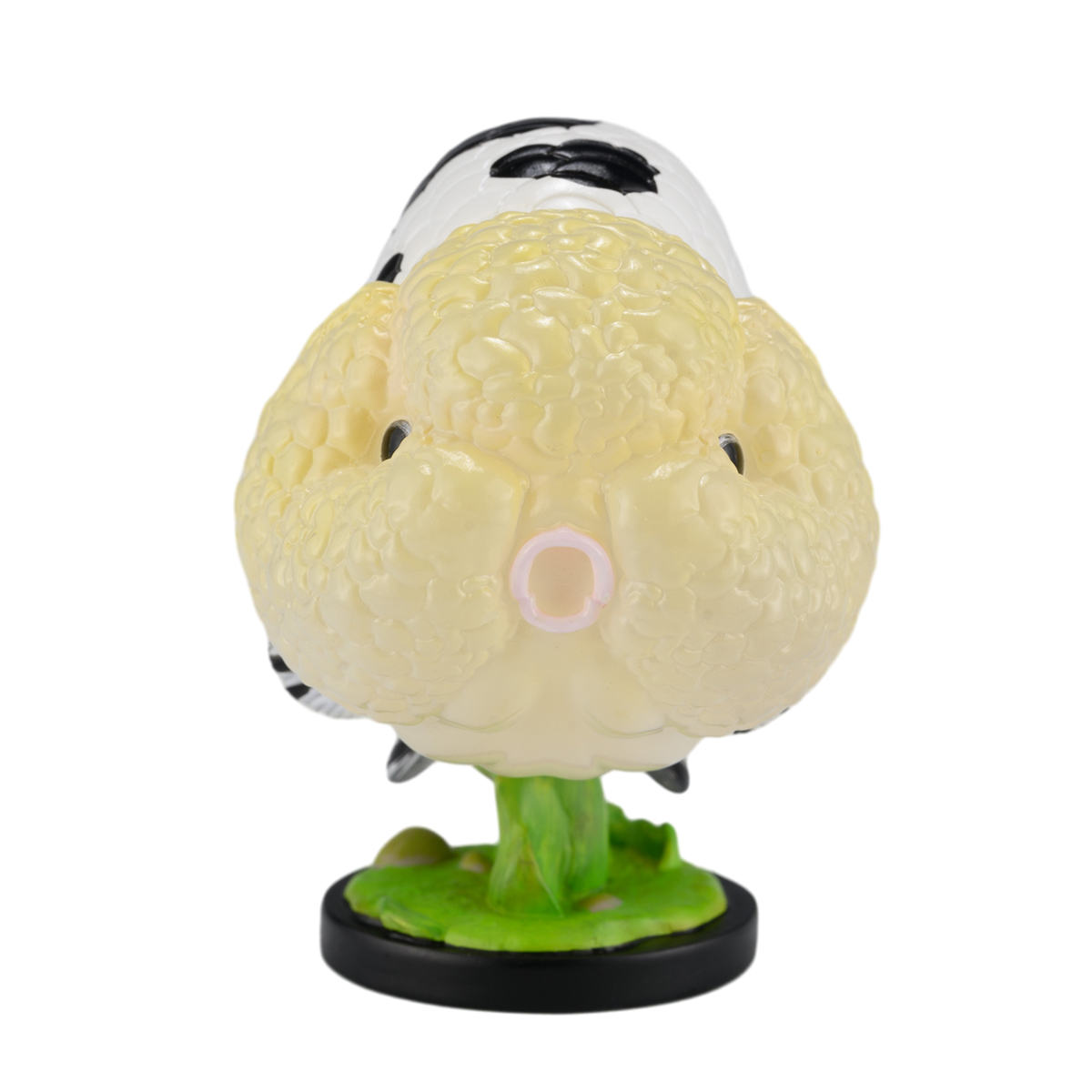 AHB Series 21 - Milk Cow Ranchu Goldfish – Carassius auratus | Fish