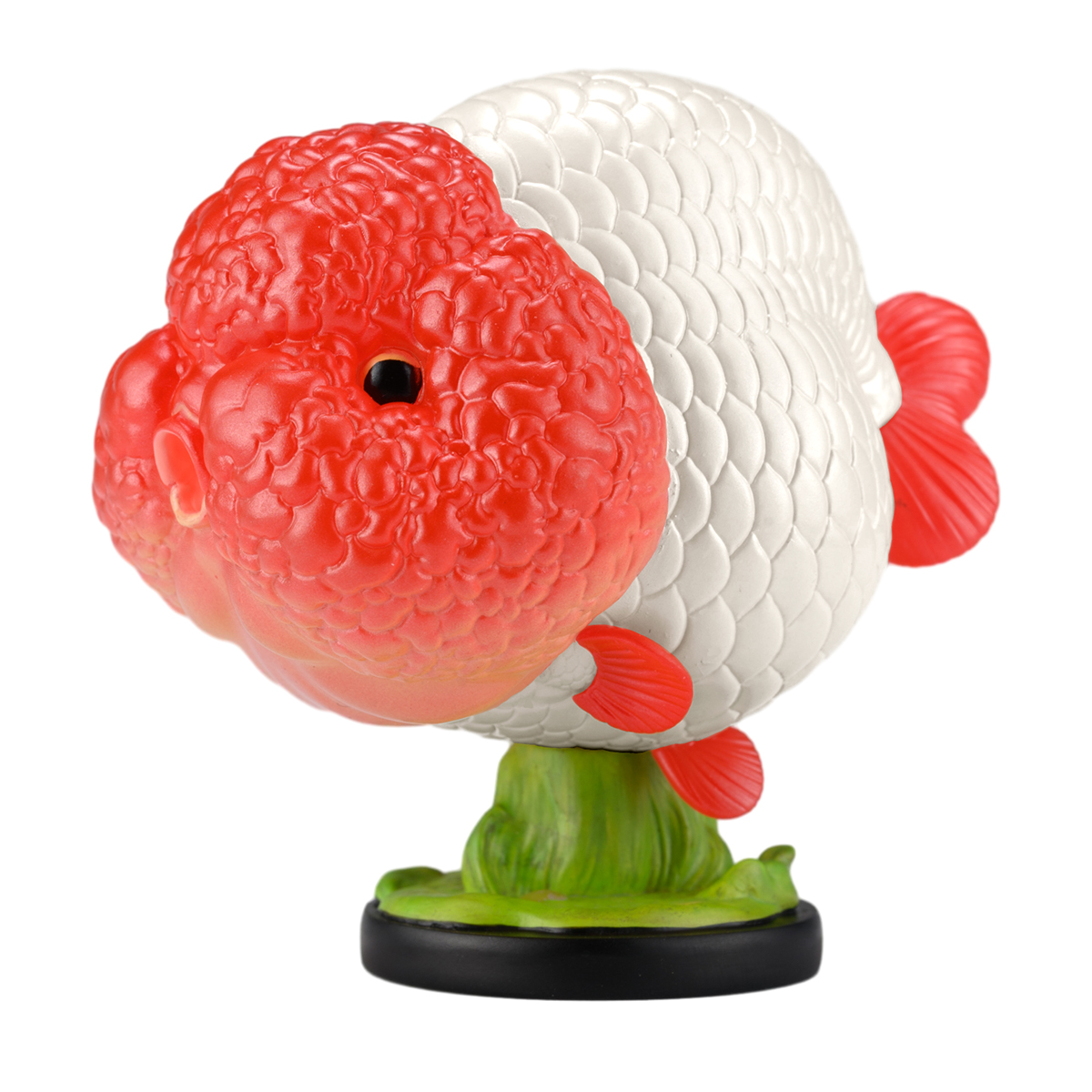 AHB Series 21 - Red Head Ranchu Goldfish – Carassius auratus | Fish