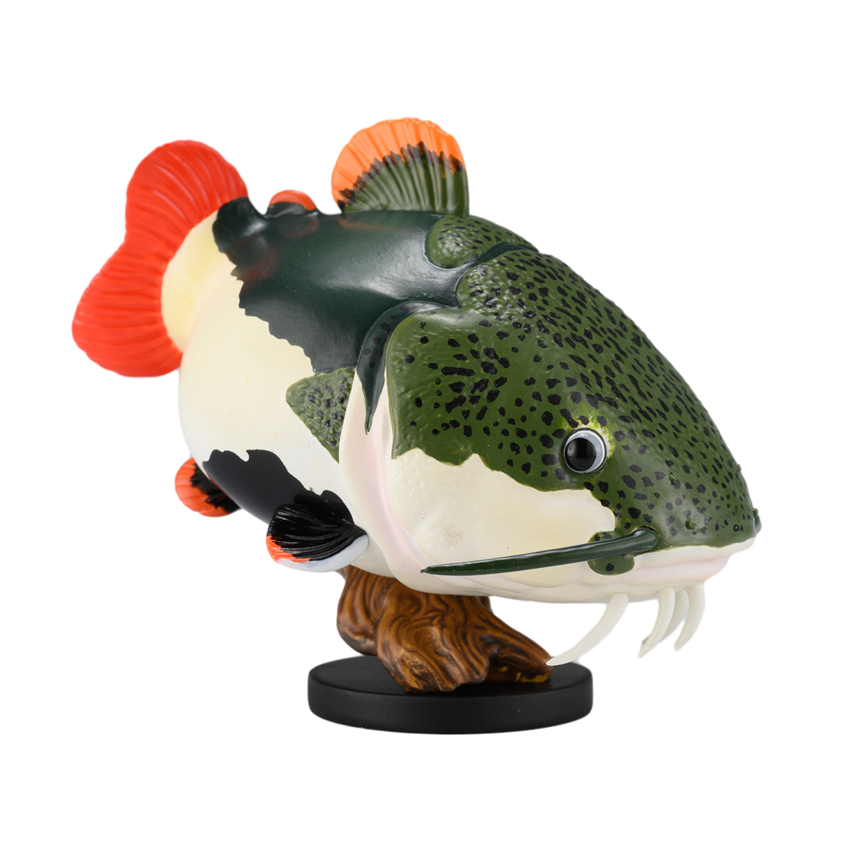 AHB Series 21 - Redtail Catfish – Phractocephalus hemioliopterus | Fish