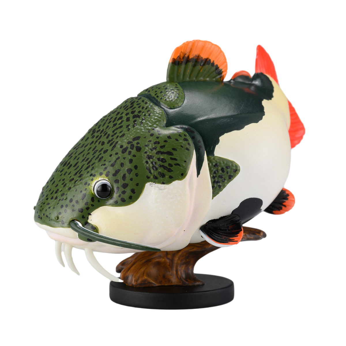 AHB Series 21 - Redtail Catfish – Phractocephalus hemioliopterus | Fish
