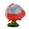 AHB-FISH-V21-06_06 AHB Series 21 - Asagi Koi – Cyprinus carpio | Fish