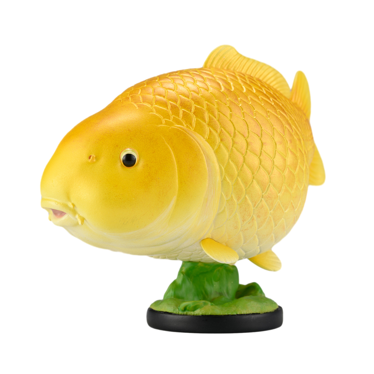 AHB Series 21 - Gold Ogon Koi – Cyprinus carpio | Fish