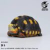 AHB Series 22 - Red-footed Tortoise – Geochelone carbonaria | Turtle