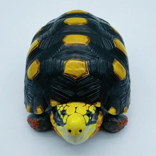 AHB-V22-01-03-1792dbb3 AHB Series 22 - Red-footed Tortoise – Geochelone carbonaria | Turtle