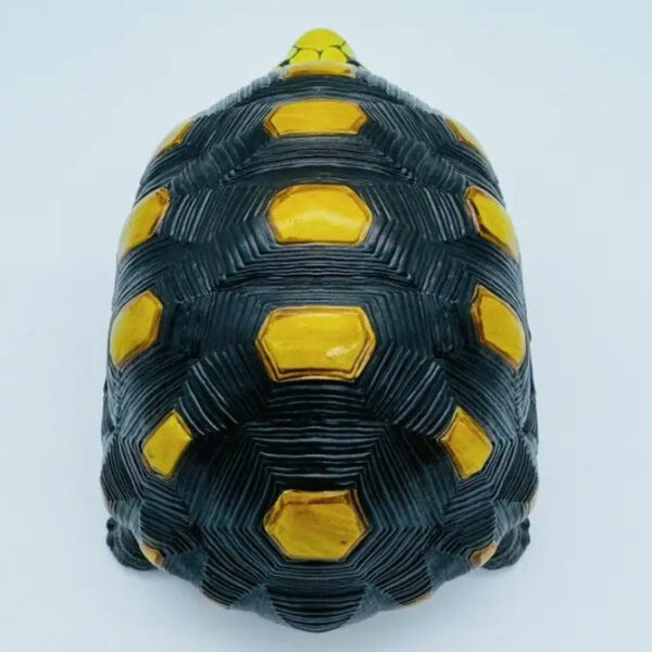 AHB-V22-01-04 AHB Series 22 - Red-footed Tortoise – Geochelone carbonaria | Turtle