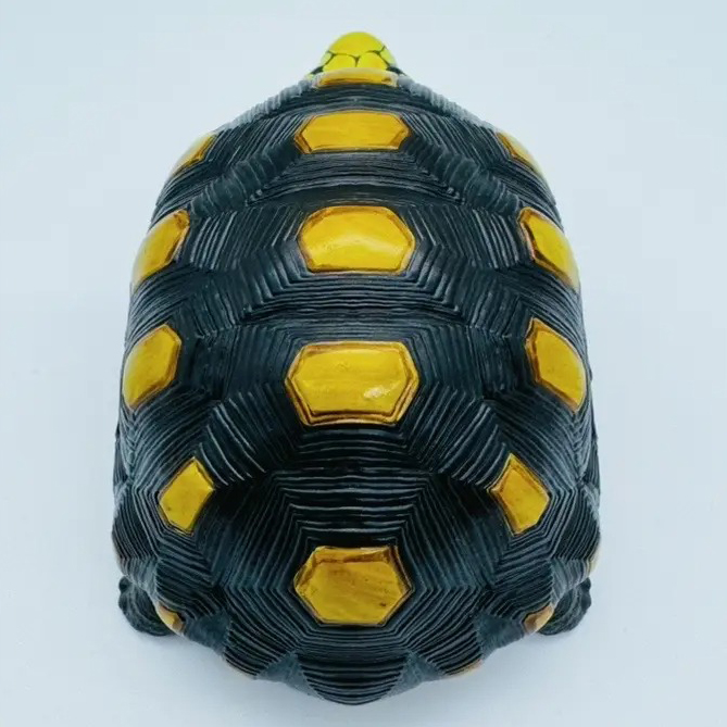 AHB Series 22 - Red-footed Tortoise – Geochelone carbonaria | Turtle