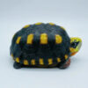 AHB Series 22 - Red-footed Tortoise – Geochelone carbonaria | Turtle