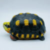 AHB Series 22 - Red-footed Tortoise – Geochelone carbonaria | Turtle