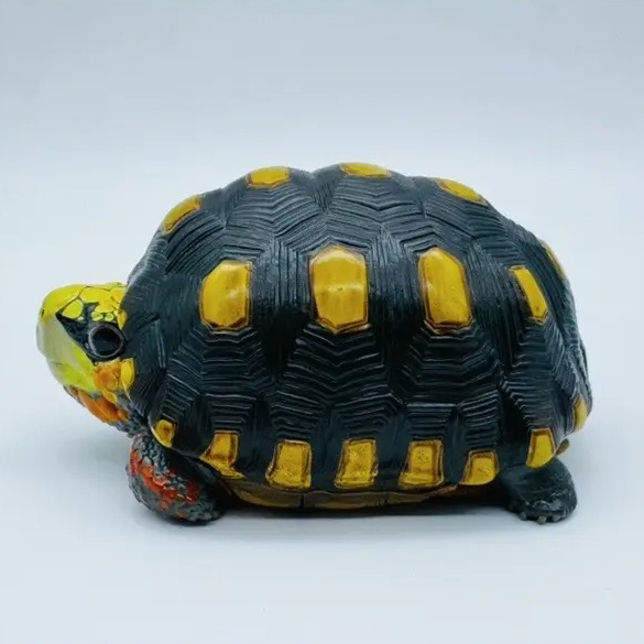AHB Series 22 - Red-footed Tortoise – Geochelone carbonaria | Turtle