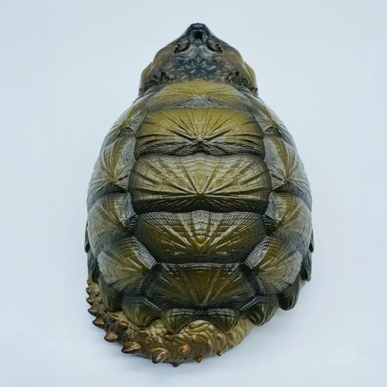 AHB-V22-02-05 AHB Series 22 - Florida Snapping Turtle – Chelydra serpentina | Turtle