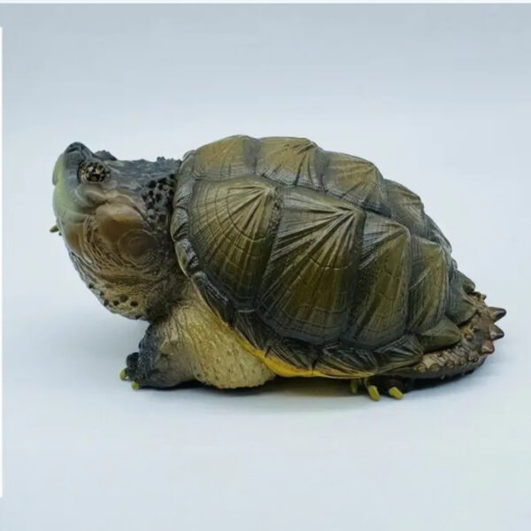 AHB Series 22 - Florida Snapping Turtle – Chelydra serpentina | Turtle