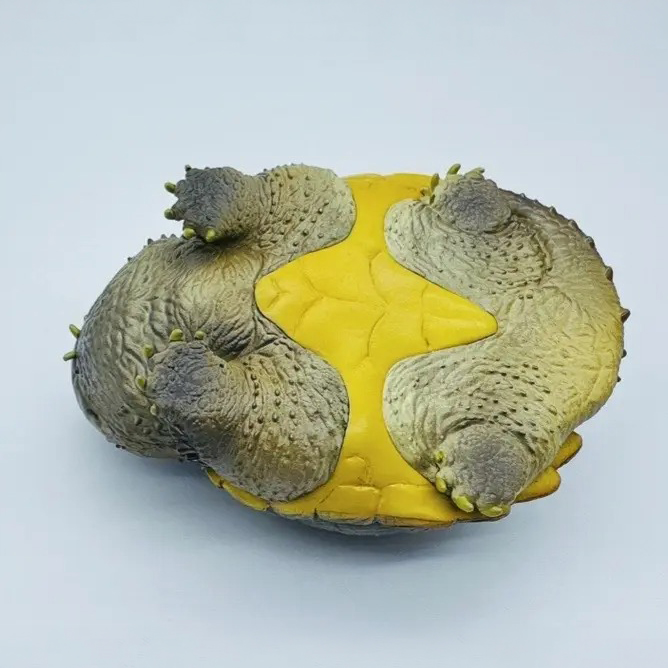 AHB-V22-02-08 AHB Series 22 - Florida Snapping Turtle – Chelydra serpentina | Turtle