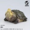 AHB-V22-03-01 AHB Series 22 - Alligator Snapping Turtle – Macrochelys temminckii | Turtle