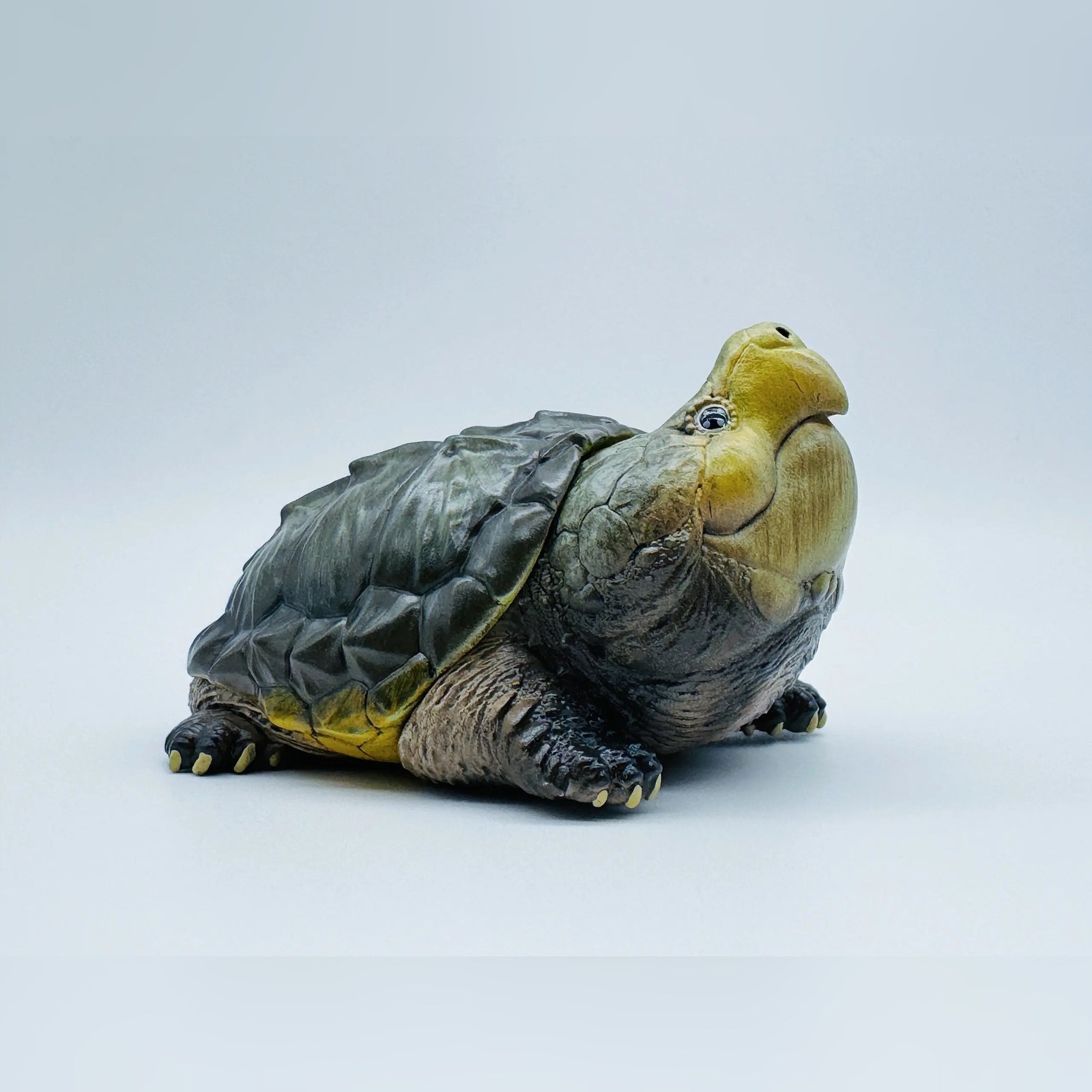 AHB-V22-03-02-959969f8 AHB Series 22 - Alligator Snapping Turtle – Macrochelys temminckii | Turtle