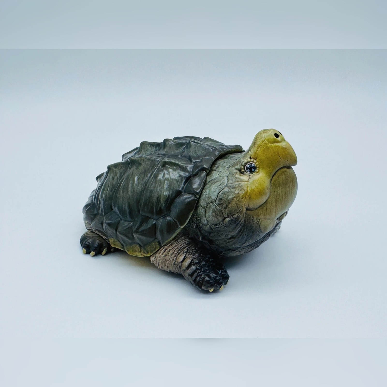AHB-V22-03-03-c3a23e8c AHB Series 22 - Alligator Snapping Turtle – Macrochelys temminckii | Turtle