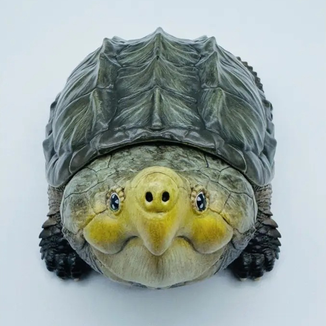 AHB-V22-03-04 AHB Series 22 - Alligator Snapping Turtle – Macrochelys temminckii | Turtle