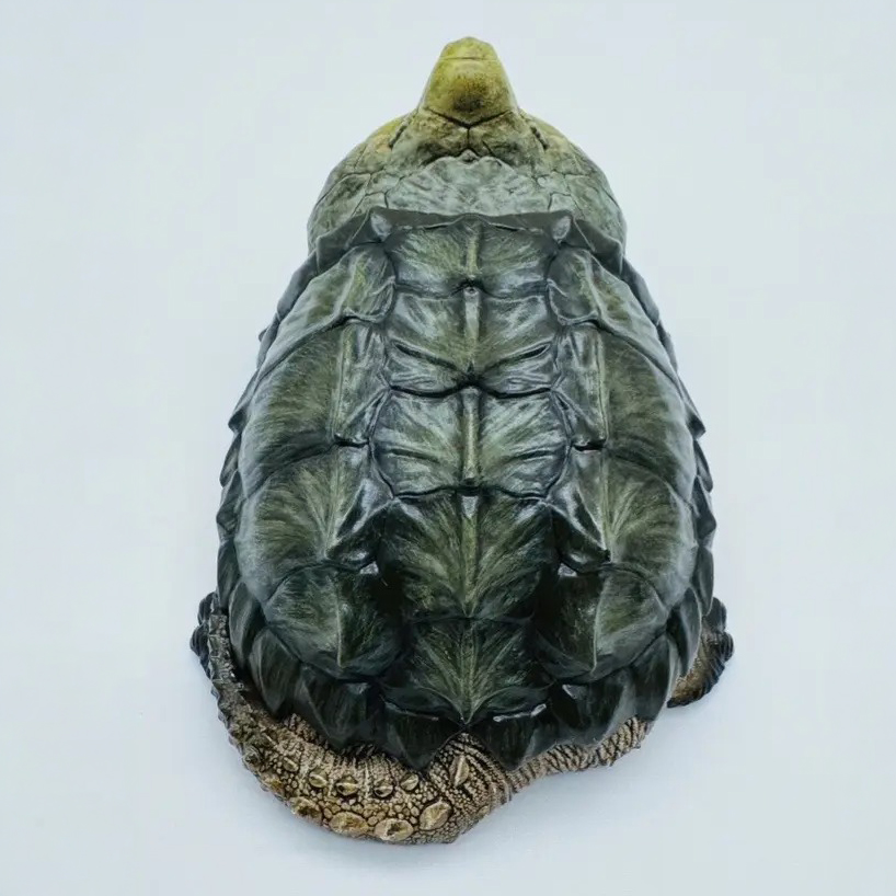 AHB-V22-03-05 AHB Series 22 - Alligator Snapping Turtle – Macrochelys temminckii | Turtle