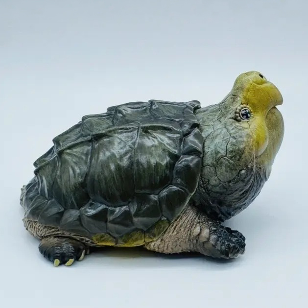 AHB-V22-03-06 AHB Series 22 - Alligator Snapping Turtle – Macrochelys temminckii | Turtle
